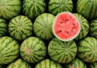 Best Time to Eat Watermelon in Summer for Maximum Health Benefits - Bio Points News