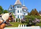 Mackinac Island – The U.S. Island with No Cars and One Horse for Every Person - Bio Points News – The U.S. Island with No Cars and One Horse for Every Person - Bio Points News
