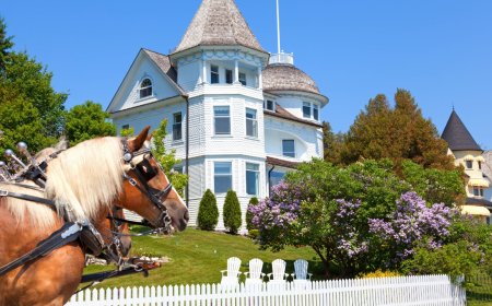 Mackinac Island – The U.S. Island with No Cars and One Horse for Every Person - Bio Points News – The U.S. Island with No Cars and One Horse for Every Person - Bio Points News