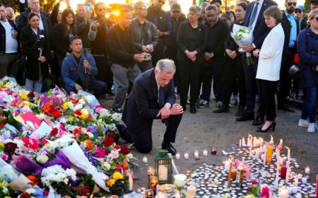 Vancouver Festival Tragedy: 11 Dead, Including 5-Year-Old, as Driver Faces Murder Charges - Bio Points News