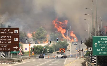 Israel Declares Emergency Amid Jerusalem Wildfire Crisis - Bio Points News
