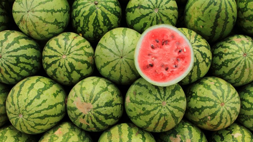 Best Time to Eat Watermelon in Summer for Maximum Health Benefits - Bio Points News
