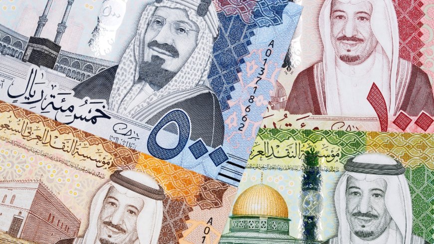 Saudi Riyal Falls Against Pakistani Rupee in Latest Currency Exchange Update - Bio Points News