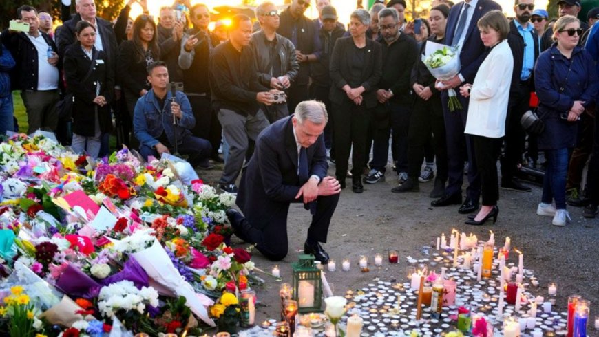 Vancouver Festival Tragedy: 11 Dead, Including 5-Year-Old, as Driver Faces Murder Charges - Bio Points News