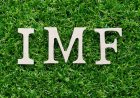 IMF Releases $1.23 Billion to Pakistan Despite Indian Opposition - Bio Points News