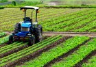 Sindh’s New Super Tax on Agricultural Income Targets High Earners from 2025 - Bio Points News