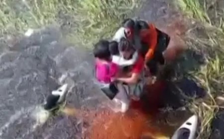 Five Survive 36 Hours in Alligator-Infested Amazon Swamp After Bolivia Plane Crash - Bio News Points