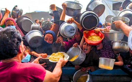 Israel Approves Gaza Capture Plan, Sparking Global Outcry Over Humanitarian Crisis - Bio Points News