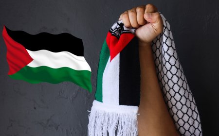 Hamas Rejects Ceasefire Talks After Israel's Controversial Gaza Plan - Bio Points News