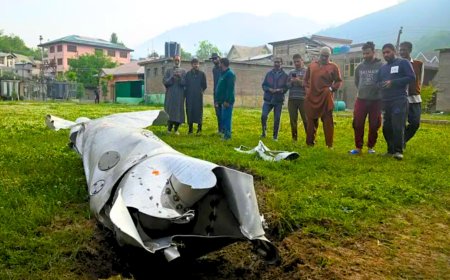 Tensions Escalate as Two Aircraft Downed in Indian-Administered Jammu and Kashmir - Bio Points News