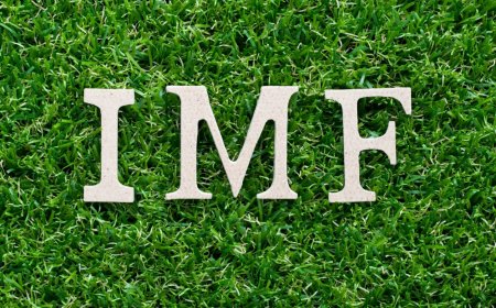 IMF Releases $1.23 Billion to Pakistan Despite Indian Opposition - Bio Points News