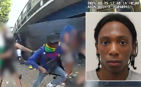 Shakeil Thibou Jailed for Life After Fatally Stabbing Cher Maximen at Notting Hill Carnival - Bio Points News