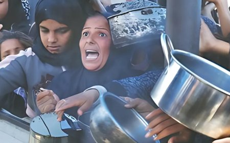 Gaza’s Humanitarian Crisis: Israel’s War Sparks Global Outrage - Bio Points News
