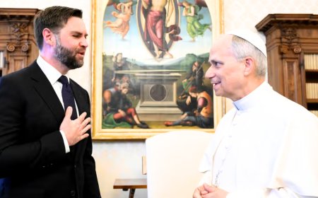 Pope Leo XIV vs. MAGA Catholics: A Clash of Faith and Nationalism - Bio Points News