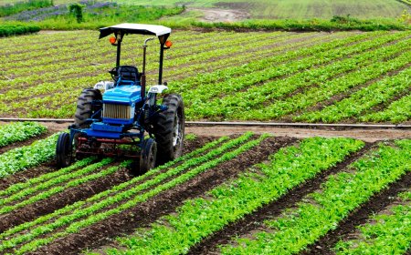 Sindh’s New Super Tax on Agricultural Income Targets High Earners from 2025 - Bio Points News