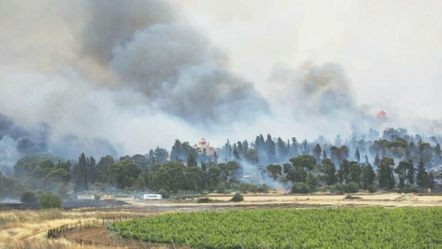 Israel’s Largest Wildfire in History: State of Emergency Declared, International Help Requested - Bio Points News