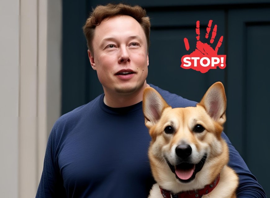 Elon Musk Compares DOGE Exit to Buddha, Denies Tesla CEO Rumors - Bio Points News