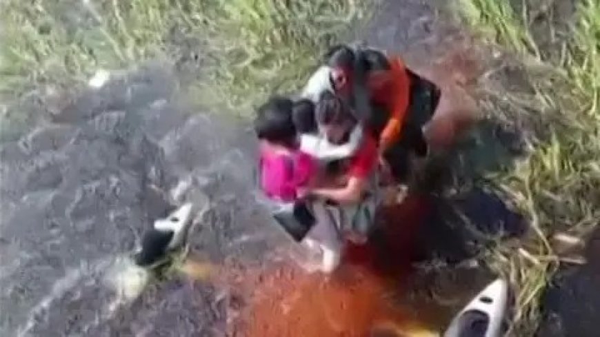 Five Survive 36 Hours in Alligator-Infested Amazon Swamp After Bolivia Plane Crash - Bio News Points