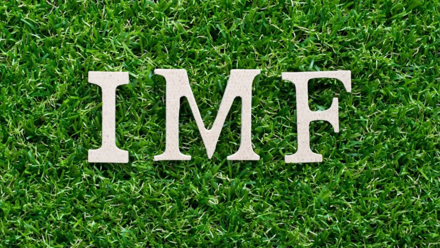 IMF Releases $1.23 Billion to Pakistan Despite Indian Opposition - Bio Points News