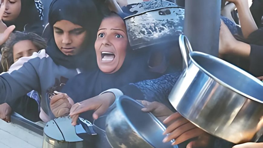 Gaza’s Humanitarian Crisis: Israel’s War Sparks Global Outrage - Bio Points News