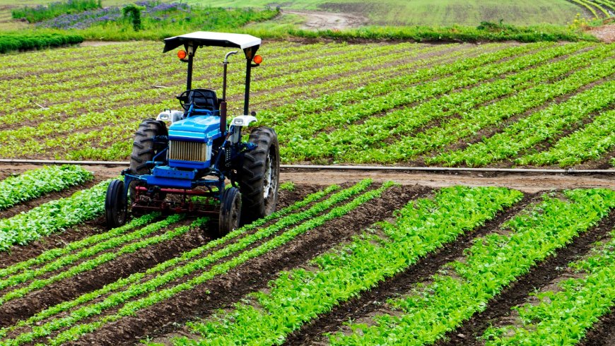 Sindh’s New Super Tax on Agricultural Income Targets High Earners from 2025 - Bio Points News