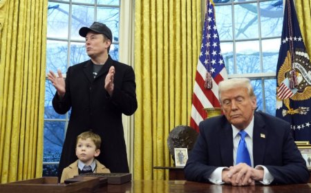 Elon Musk’s White House Exit: What Did He Achieve with DOGE, and Was There Anything in It for Him? - Bio Points News