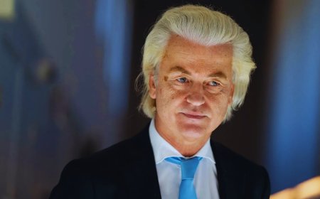:  Dutch Government Collapses After Geert Wilders’ Far-Right PVV Quits Coalition - Bio Points News