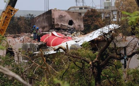 Air India Plane Crash Claims 279 Lives in Ahmedabad, Only One Survivor Found - Bio Points News