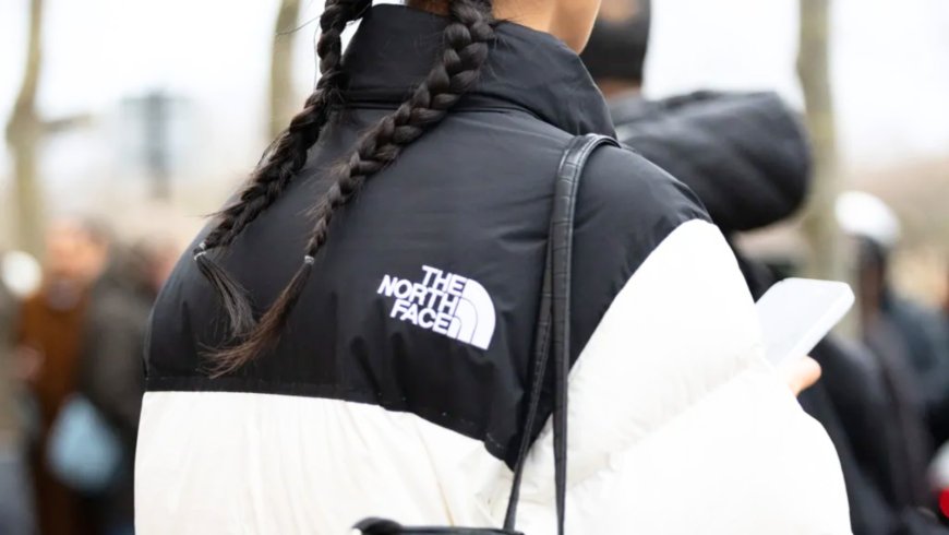 North Face, Cartier Hit by Cyber Attacks: Customer Data Stolen  - Bio Points News