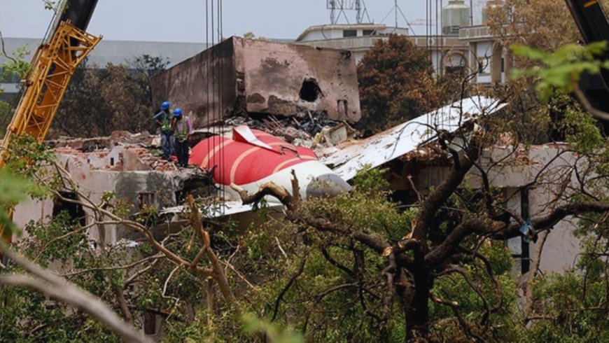 Air India Plane Crash Claims 279 Lives in Ahmedabad, Only One Survivor Found - Bio Points News