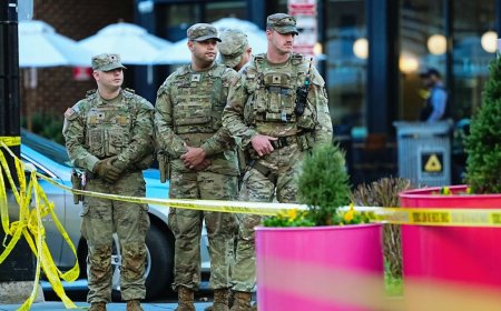 Guardsmen's Fatal Ambush: Afghan Suspect's Deadly Attack Rocks DC - Bio Points News