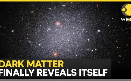 First Hint of Dark Matter? Japanese Study Sparks Debate - Bio Points New