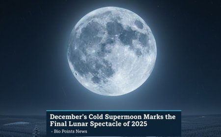 December’s Cold Supermoon Marks the Final Lunar Spectacle of 2025  - Bio Points News