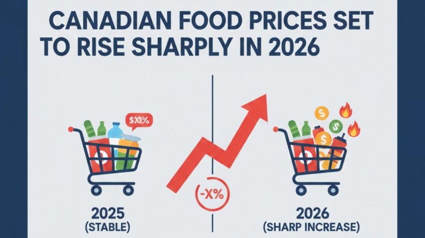 Canadian Food Prices Set to Rise Sharply in 2026 - Bio Points News