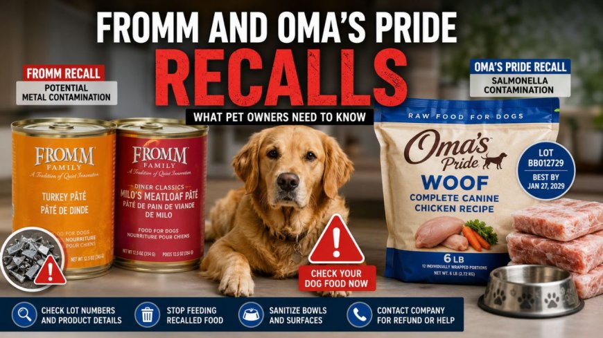 Fromm and Oma’s Pride Recalls: Dog Food to Check