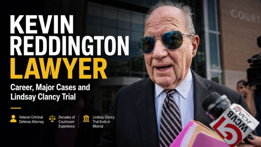 Kevin Reddington Lawyer: Career and Lindsay Clancy Case